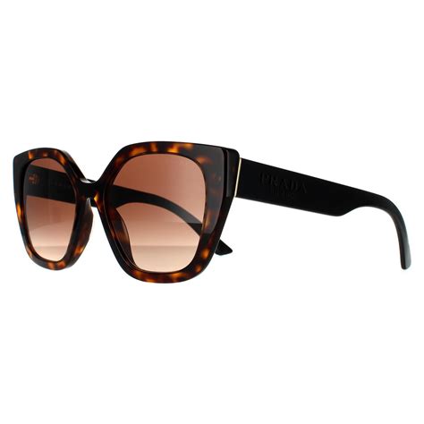 prada pr24xs 2au6s1|Prada PR24XS Havana / Brown Gradient • EyeWearThese.com.